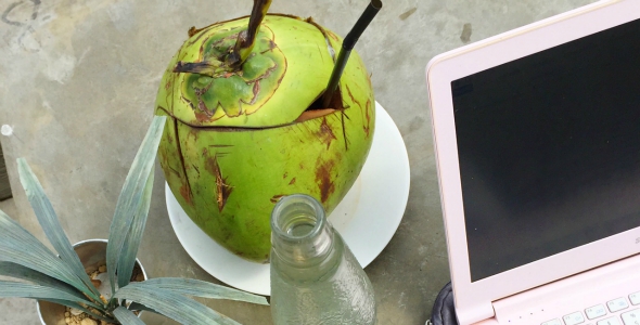 Alternatief monteren anker De 10 voordelen van kokos! - I Love Health