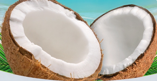 Ziek persoon versneller Voorstellen Kokosolie: de vele voordelen - review - I Love Health